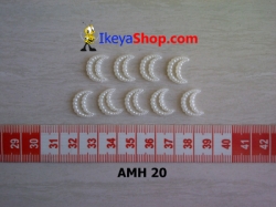 AMH 20 large.jpg